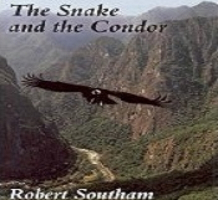 « The snake and the condor » de Robert Southam par Gérard Garcia