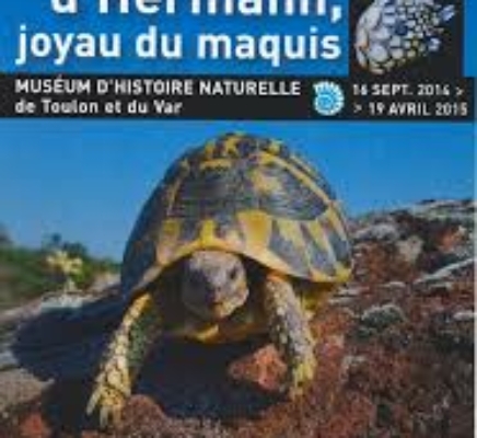EXPOSITION MUSÉUM D’HISTOIRE NATURELLE 19 septembre 2014