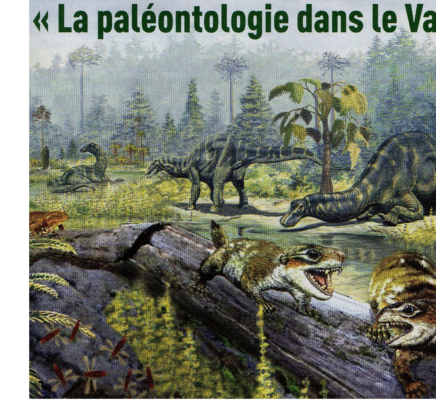 VISITE EXPOSITION « La paléontologie dans le Var » Muséum d’Histoire Naturelle 17 janvier 2017