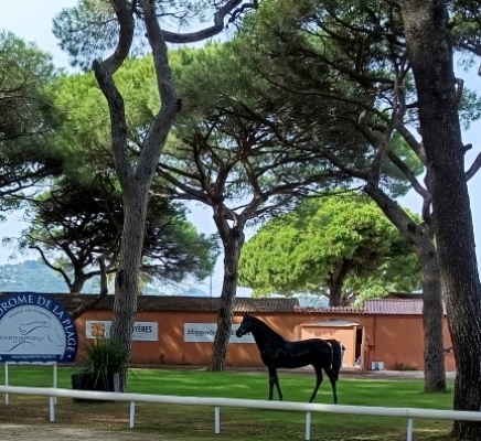Sortie Hippodrome de la Plage Hyères